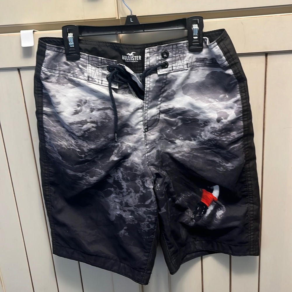Hollister Bathing Suit Shorts.